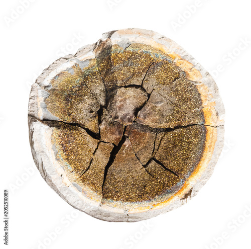 Fotografija raw piece of chalcopyrite concretion cutout on white background