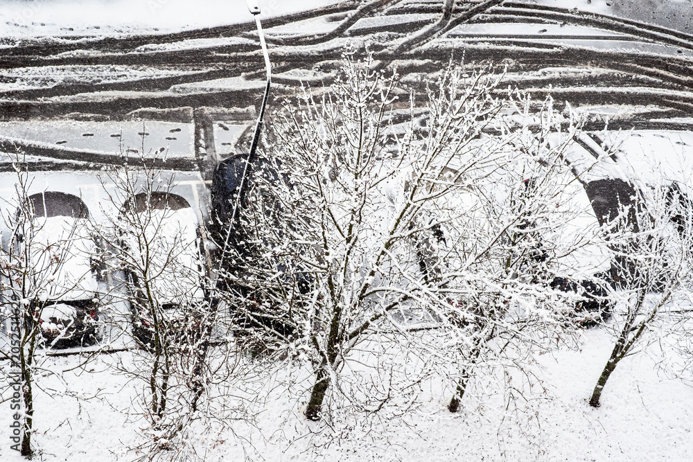 Fototapeta premium snow-covered trees and cars after spring snowfall