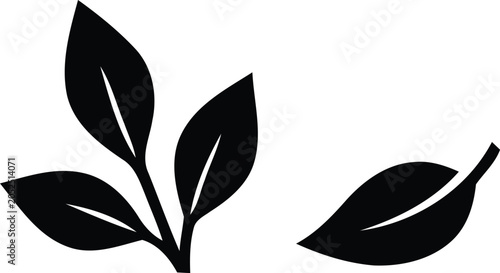 Eco-Friendly Botanical Leaf Vector Graphic