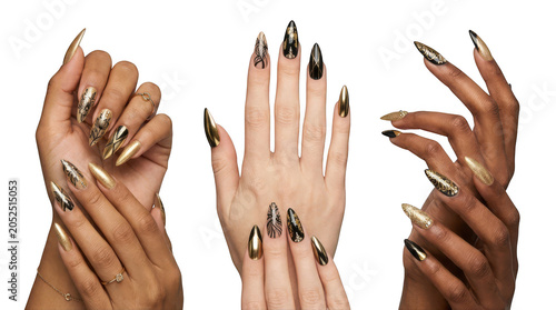 Closeup of hands with elegant stiletto nails featuring gold and black intricate designs isolated on transparent background