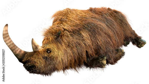 Foto 3D Rendering Wolly Rhino on White