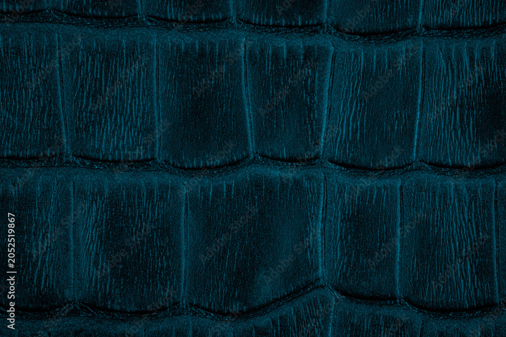 Fototapeta premium Dark teal crocodile skin texture surface