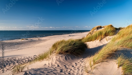 Dune Am Ostseestrand Uckeritz Insel Usedom