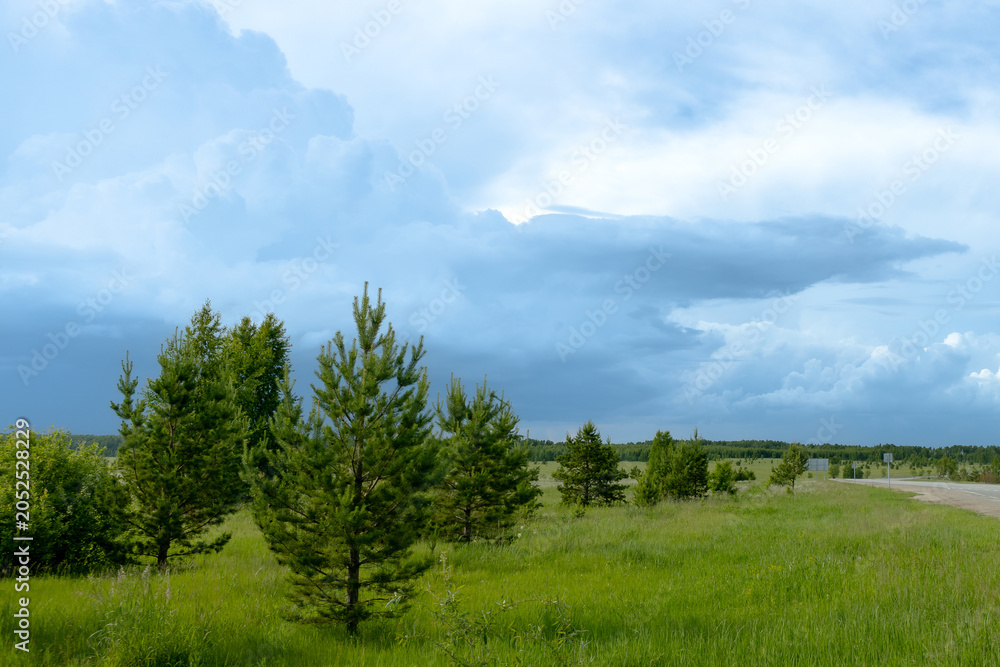 Fototapeta premium Lush green landscape featuring coniferous trees under a dramatic sky with clouds, a dirt road visible in the distance, showcasing natural beauty and tranquility