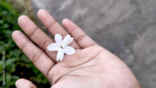Φωτογραφία Hand holding a fragrant jasmine flower outdoors