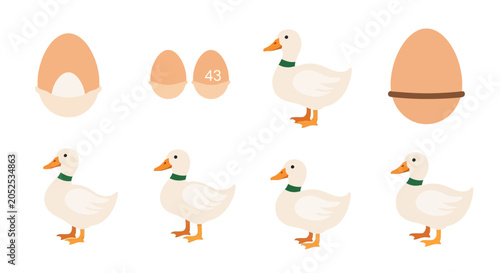 Photos Cute Ducks and Eggs Illustration: Farm Animals and Breakfast Concept