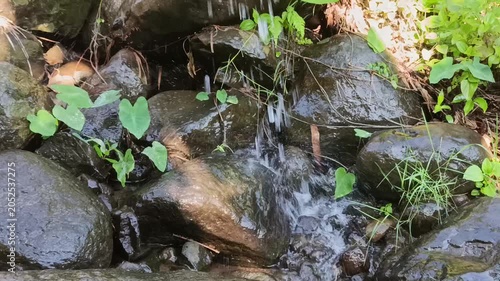 Crystal Clear Mountain River Flowing Through a Lush Forest Landscape