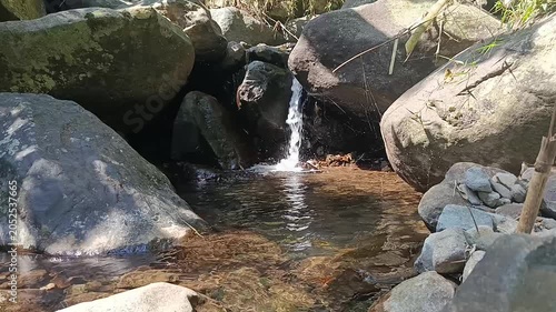 Crystal Clear Mountain River Flowing Through a Lush Forest Landscape