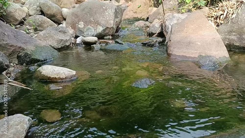 Crystal Clear Mountain River Flowing Through a Lush Forest Landscape