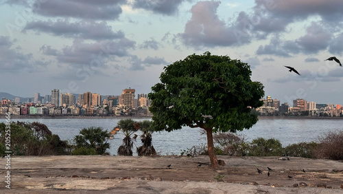 view of the city from the Mumbai Sea