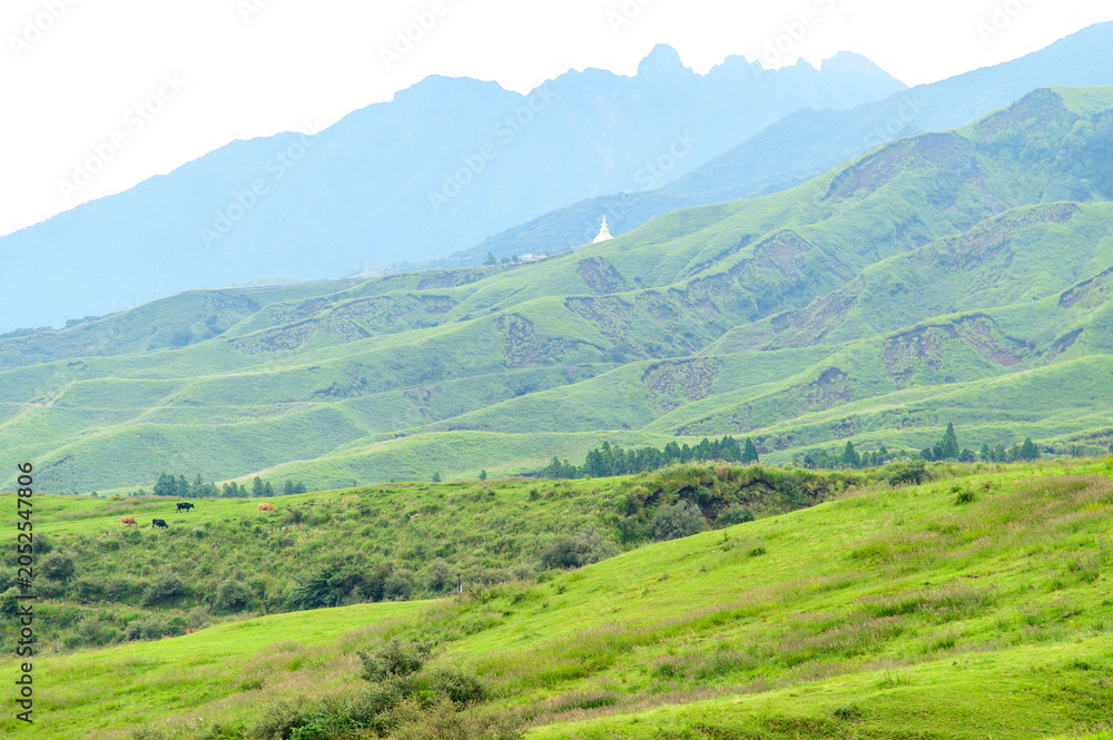 Obraz premium 阿蘇山の雄大な美しい風景