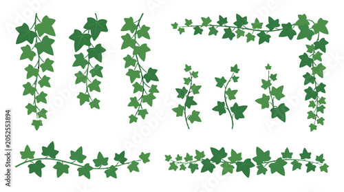 Green ivy vine border set with hanging leaf branches