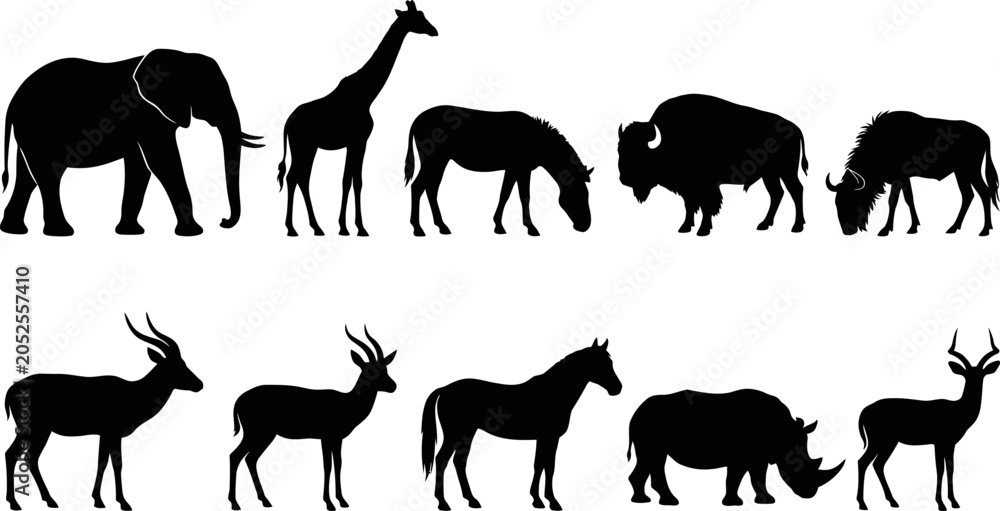 Fototapeta premium Black silhouettes of various wild animals on white background elephant giraffe horse