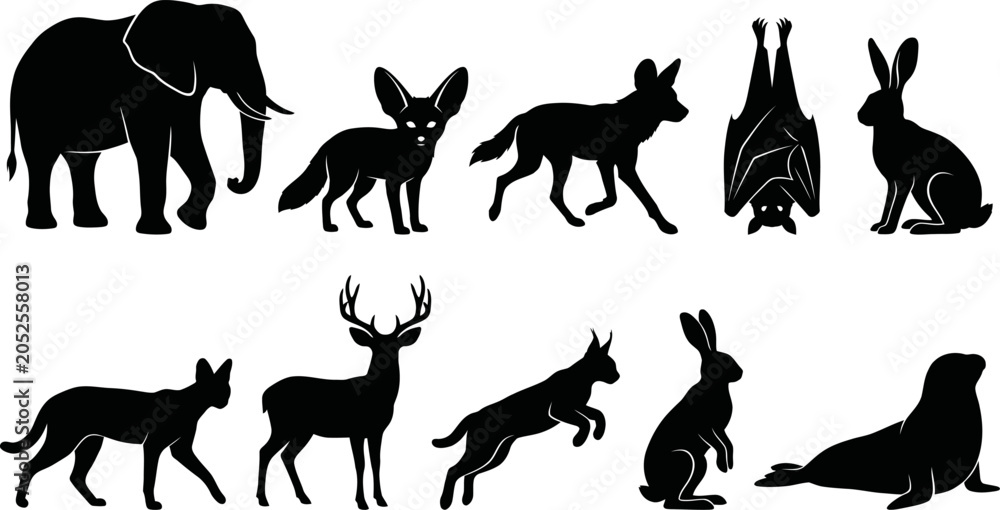 Fototapeta premium Black silhouettes of various wild animals on white background