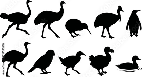 Schilderij op canvas Collection of bird silhouettes including ostrich kiwi penguin and duck on white