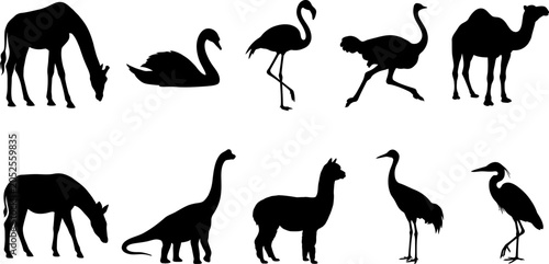 Canvas Print Silhouettes of various animals including mammals and birds on white background