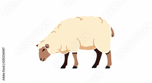 A fluffy sheep with light brown and white wool and dark brown legs grazes