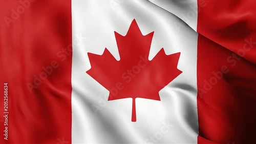 Canada flag ripples gently in the wind to show national pride and patriotism.
