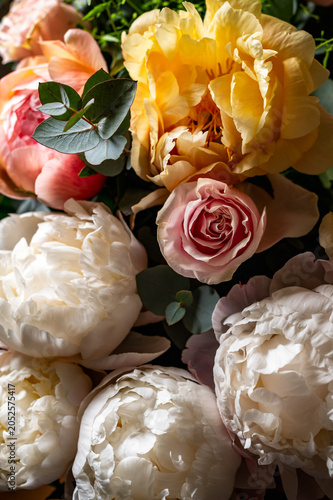 Macro shot of fresh bunch of peonies bouquet of different colors. Card Concept, gentle abstract floral background image, close up, shallow DoF