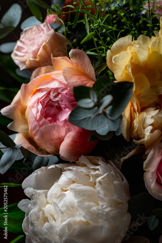 Macro shot of fresh bunch of peonies bouquet of different colors. Card Concept, gentle abstract floral background image, close up, shallow DoF