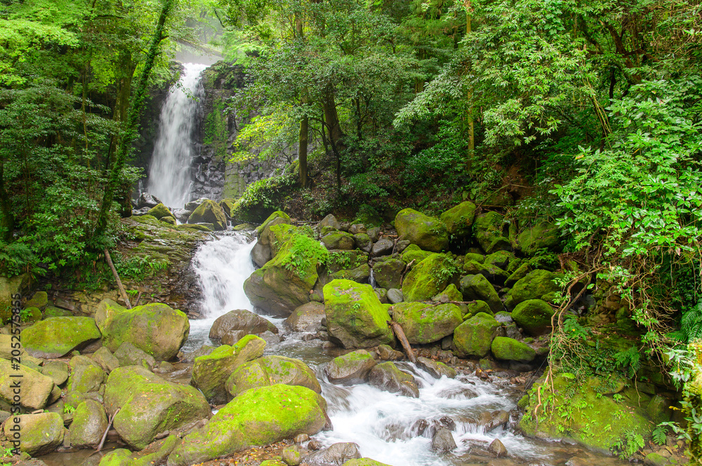 Fototapeta premium A very beautiful waterfall landscape surrounded by nature in Japan.