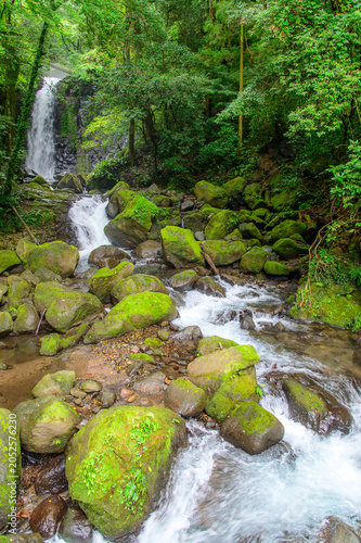 A very beautiful waterfall landscape surrounded by nature in Japan.
