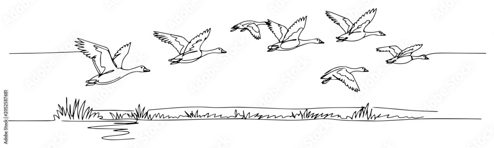 Fototapeta premium Flock of Wild Ducks Flying Over Water and Reeds, Migrating Birds Nature Landscape One Line Art Vector