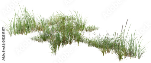 Foto grass/ High-resolution isolated green grass clumps element