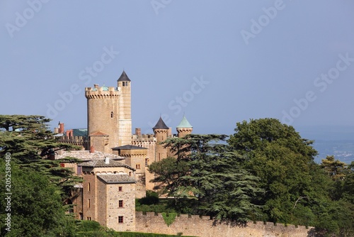 Foto View of the Castle of Montmelas in Beaujolais, France