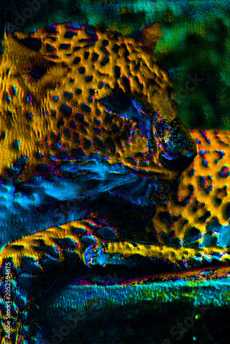 Photography leopard print on a black background