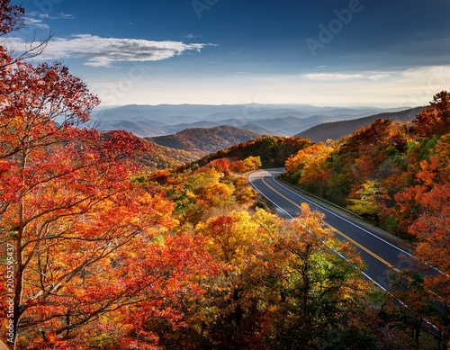 vibrant fall foliage on skyline drive in shenandoah national park virginia usa