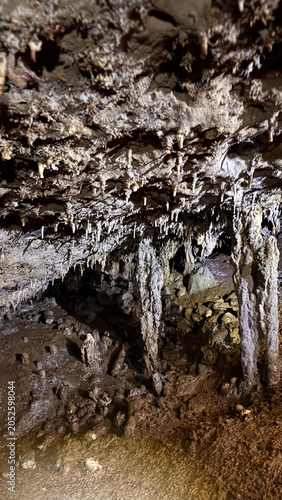 Close up details of thousands small stalactites on a limestone cave ceiling
