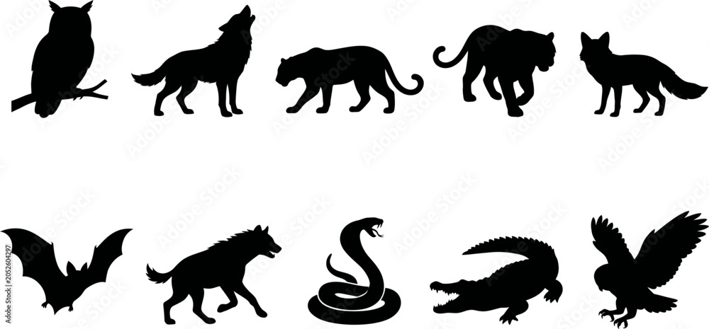 Obraz premium Black silhouettes of various wild animals on white background
