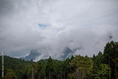 Alishan Scenic Area, Chiayi County, Taiwan