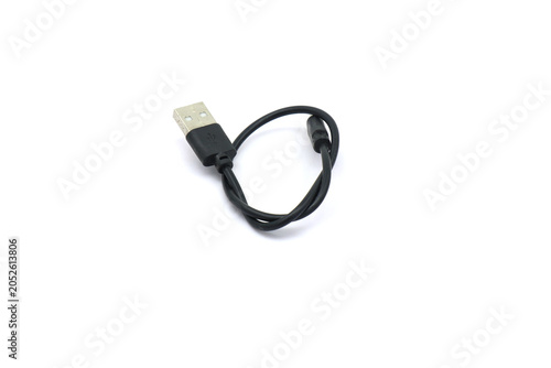 Принти на полотні A black USB cable on a white background