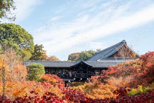 紅葉に包まれる秋の京都、カラフルな色が美しい