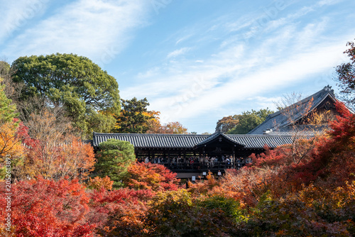 紅葉に包まれる秋の京都、カラフルな色が美しい