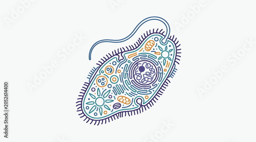 Canvastavla Detailed illustration of a single-celled organism with flagellum.