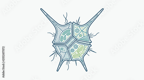 Fotografie Microscopic organism with spiky protrusions and internal structures