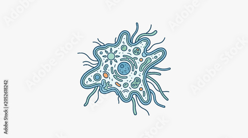 Canvastavla Amoeba single cell organism illustration with pseudopods.