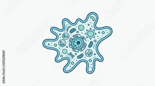 Photos Amoeba cell illustration with internal organelles and nucleus.