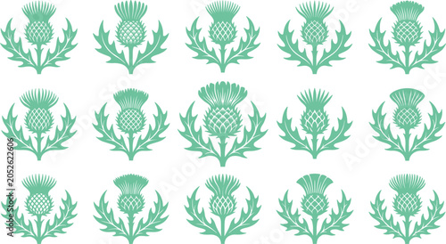 Foto Green milk thistle floral graphic icon collection featuring traditional scottish