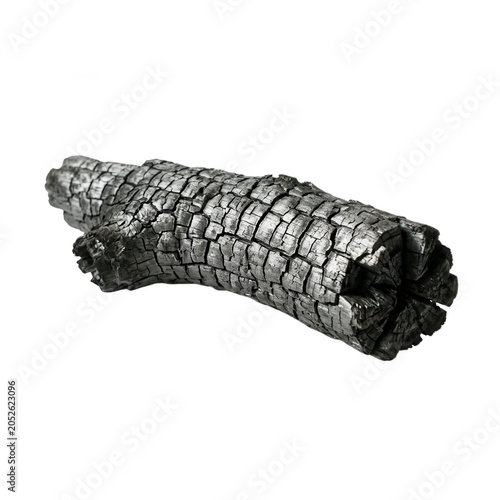 Charred Wood Log Fragment Texture Detail