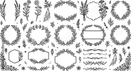 Obraz na płótnie Vintage botanical wreaths and floral border frames set featuring hand drawn medi