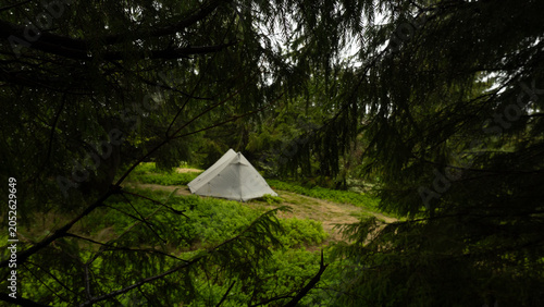 white tent in a Lush Green Forest in the hiking in the mountains, Carpathian mountain,  pyramid tent, travel, camping and hiking with tents, equipment