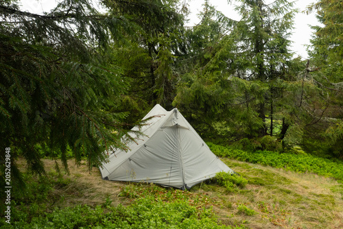 White Tent in a Lush Green Forest in the hiking in the mountains, Carpathian mountain,  pyramid tent, travel, camping and hiking with tents, equipment