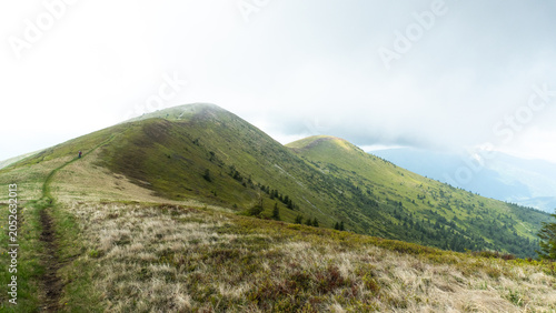 Green Mountain Landscape with Cloudy Sky, Pishkonya mountain range, Carpathians, mountain peak, fog, green silhouettes