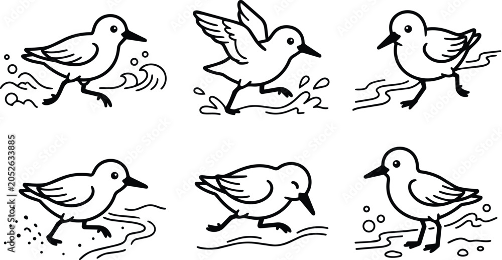 Fototapeta premium seagull line art illustrations showing running and splash on beach
