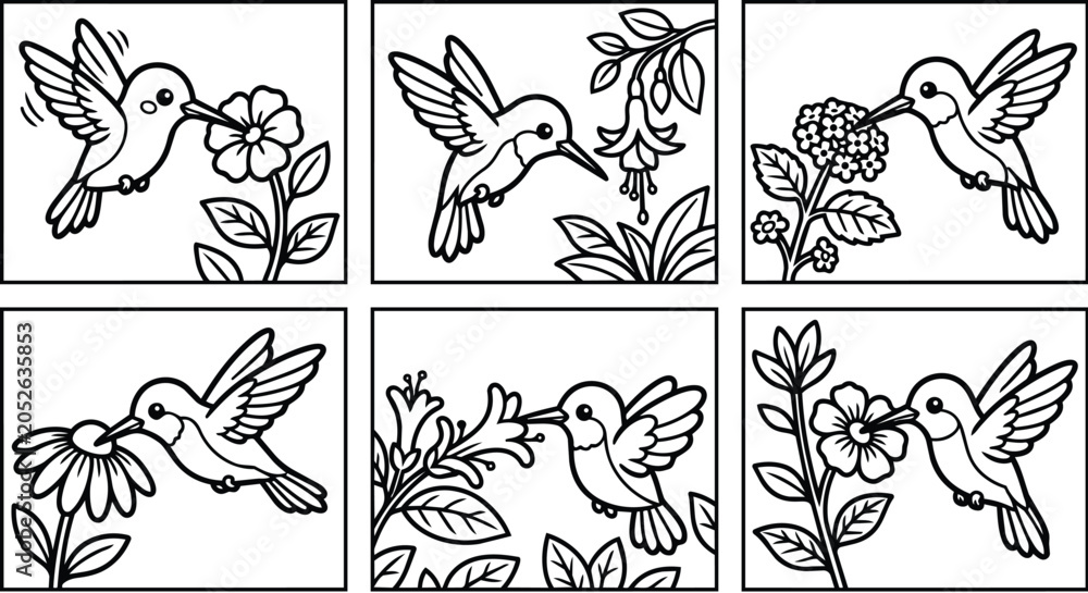 Fototapeta premium Hummingbird line art collection with flowers in black and white vector illustrations