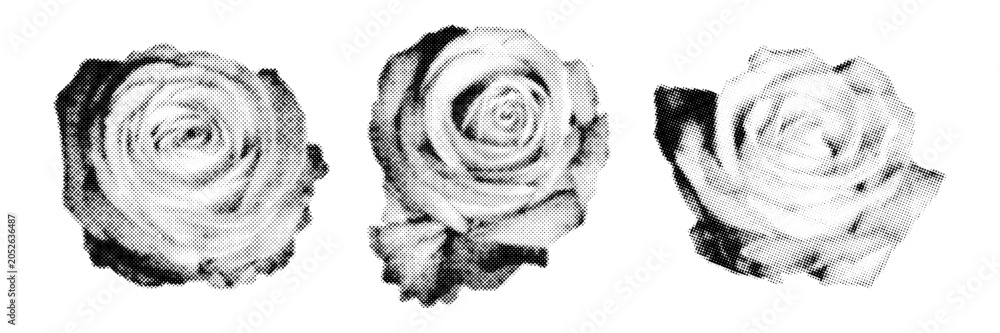 Obraz premium Halftone rose flower set with distressed monochrome texture and vintage print effect. Romantic floral elements in retro photocopy style for collage, posters and editorial design. 